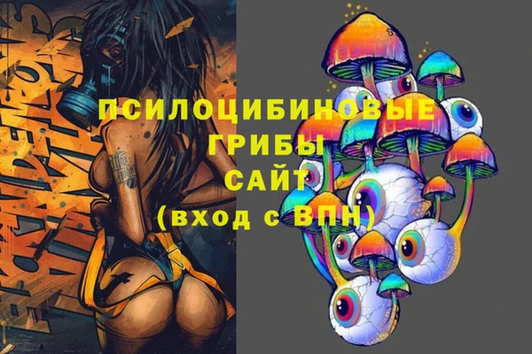 mdpv Бугульма