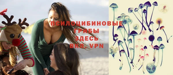 jwh Богородск
